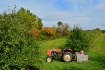 Apple Harvest