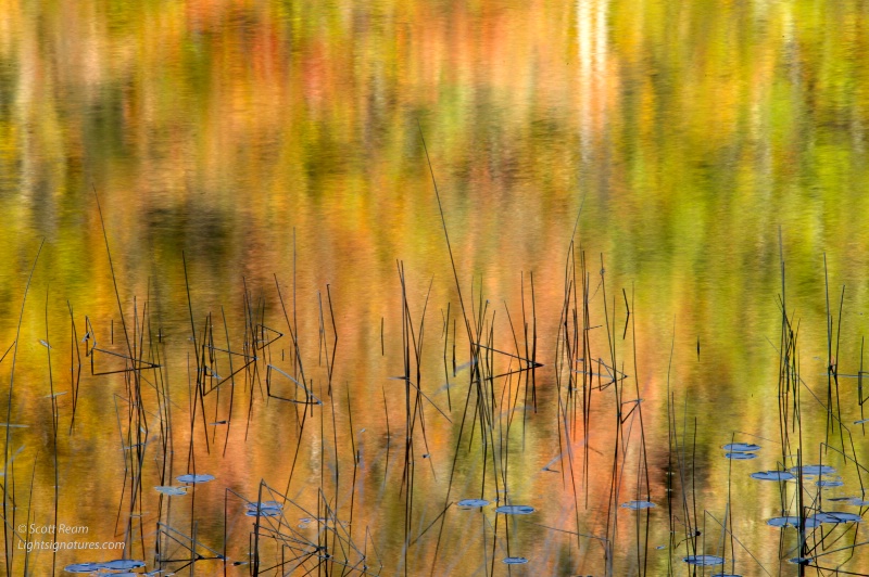 nd4 8670 - ID: 15017939 © Scott Ream