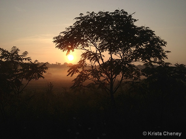 Sunrise—Charlotte, VT - ID: 15018249 © Krista Cheney