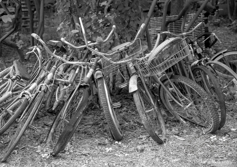 Pile of Bikes