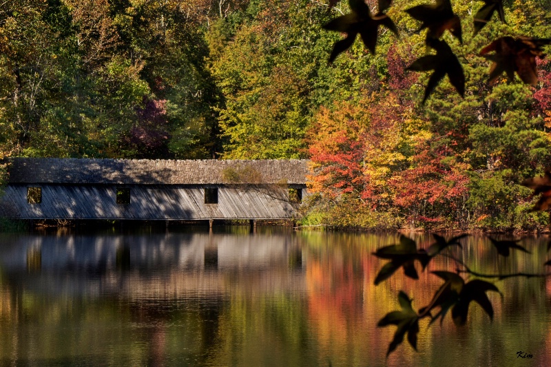 Alabama Autumn