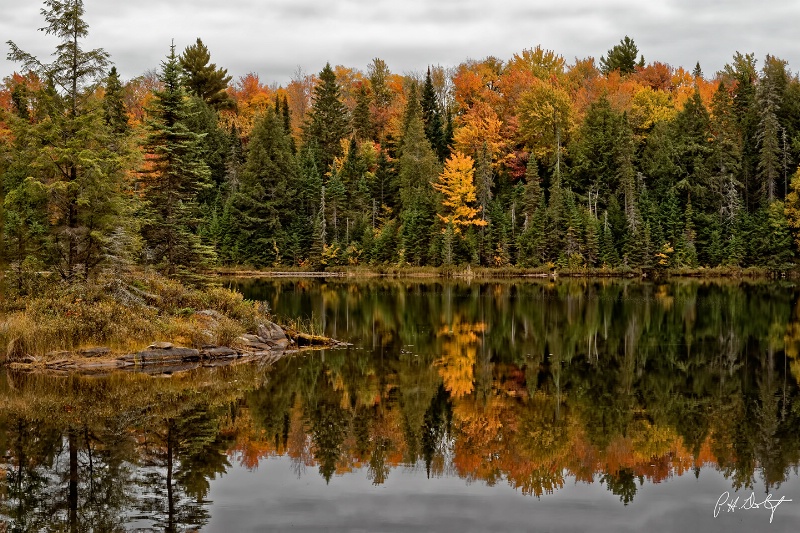 Autumn In Algonquin