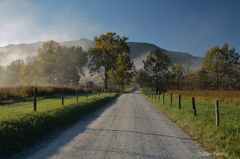 Fog On Sparks Lane, Cades Cove, GSM