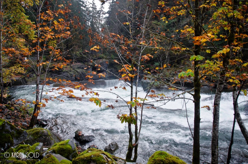 Last breath of Autumn at Stampfalls