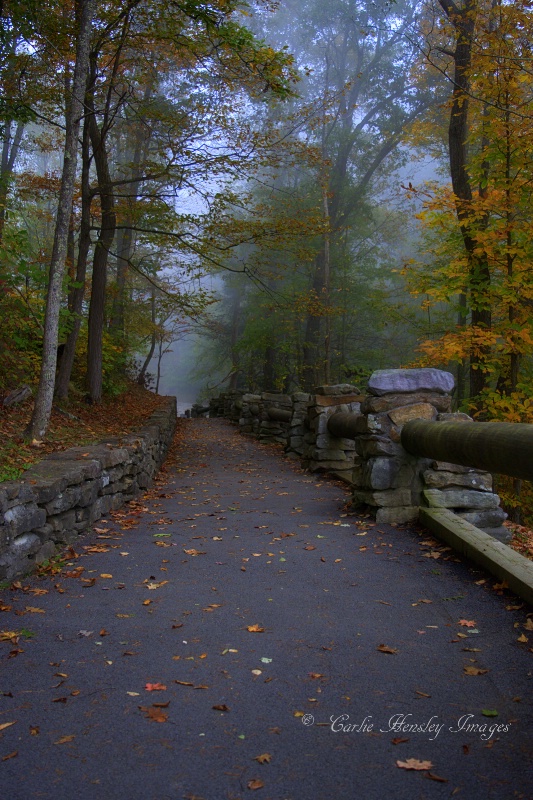 A Path Into Autumn