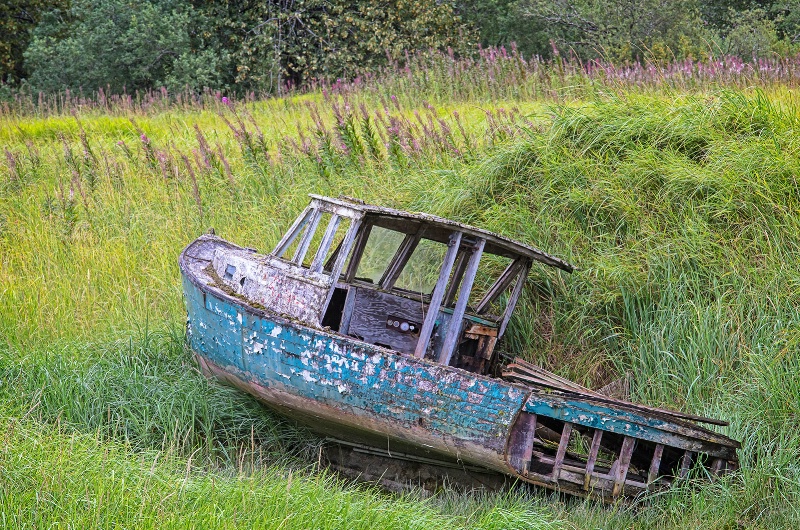 High and Dry