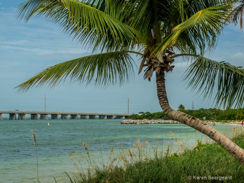 Twisted Palm Beach