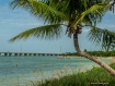 Twisted Palm Beac...