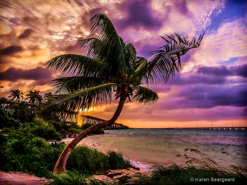 Twisted Palm Sunset