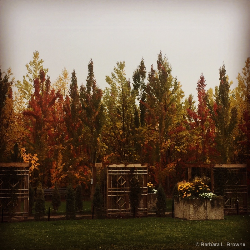 Fall in the Botanical Gardens