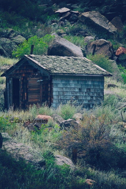 forgotten mining cabin