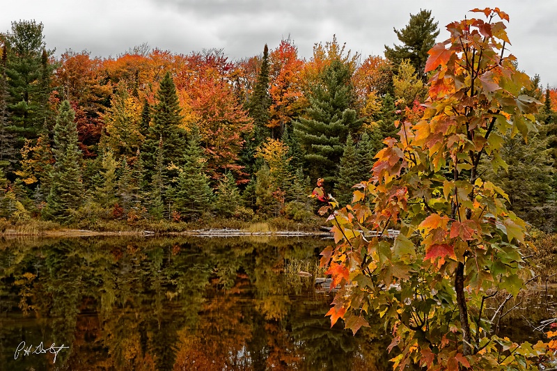 Autumn Reflections