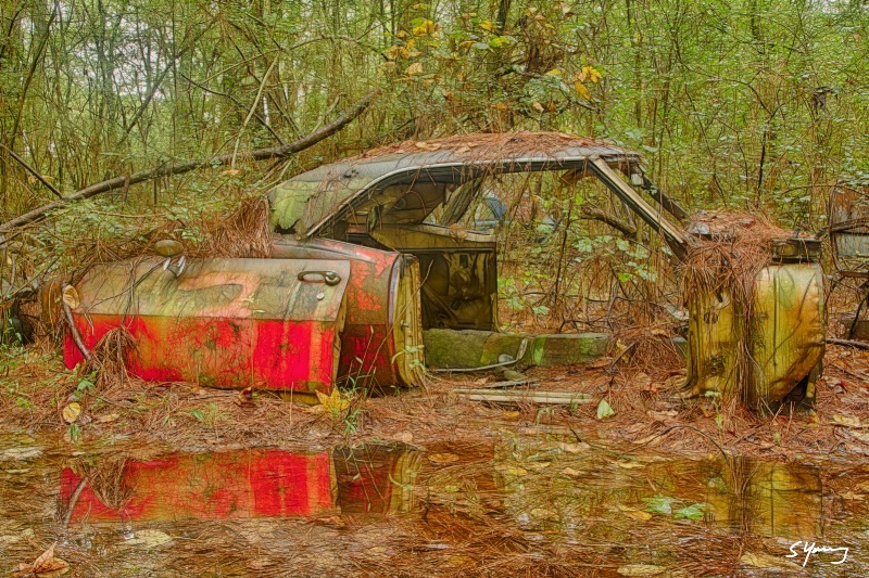 Reflections; Old Car City; White, Ga - ID: 15025451 © Richard S. Young