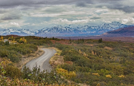 Denali National Park Road    