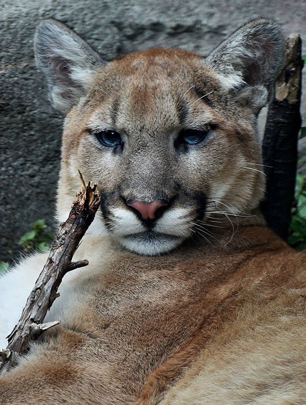 Me And My Stick