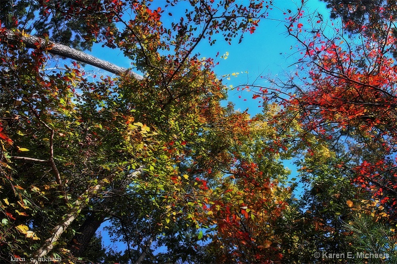 Autumn in the Air - ID: 15026178 © Karen E. Michaels