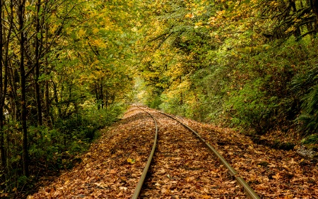 Oregon Autumn