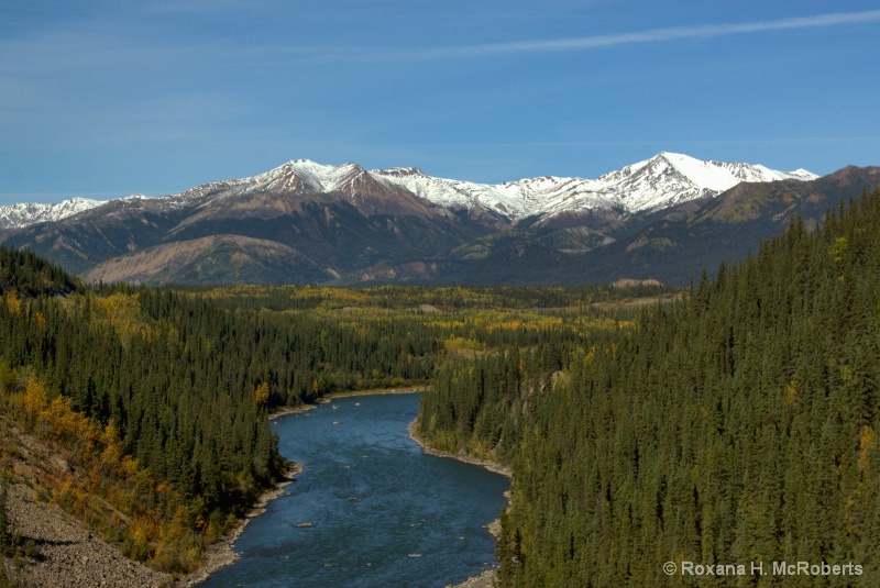 Denali National Park