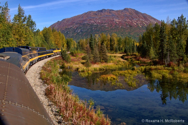  Denali National park