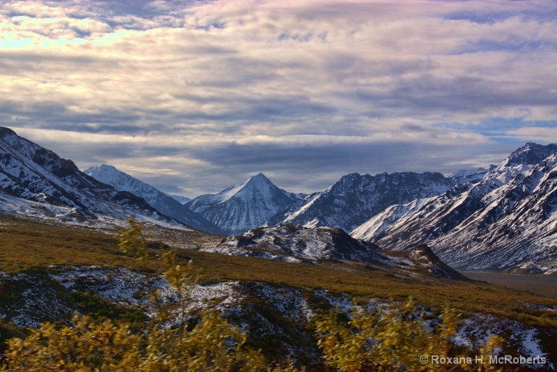 Denali National Park