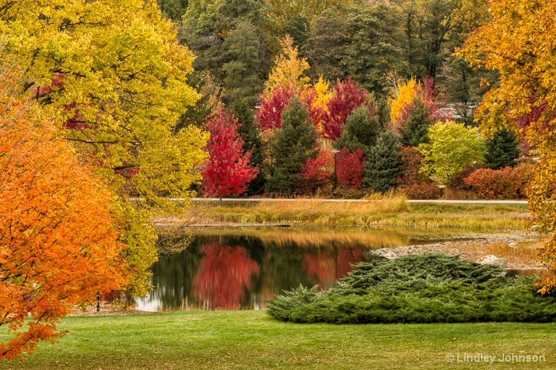 Morton Arboretum Fall