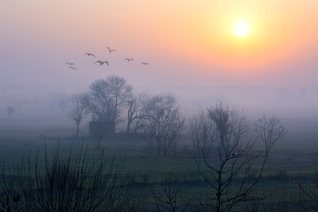 Fogy morn's charm