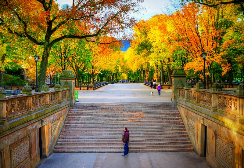 Steps to Fall in Central Park