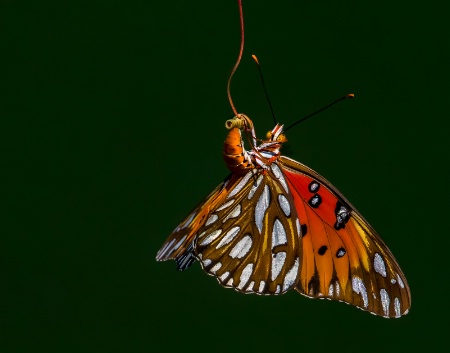 Hanging Around