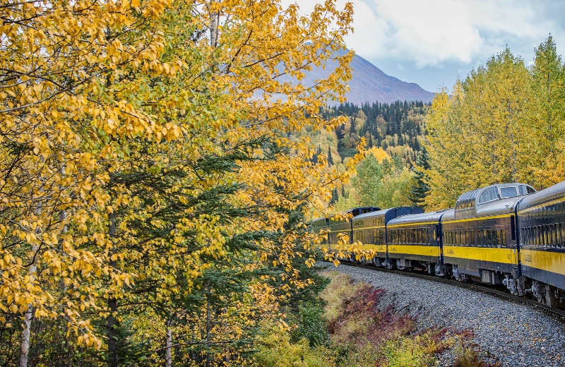 The Alaska Railroad    