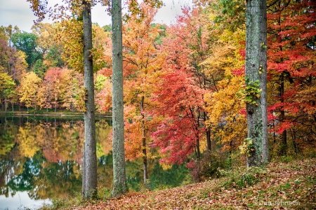 Fall Lake and Trees 3-0 f lr 10-26-15 j020