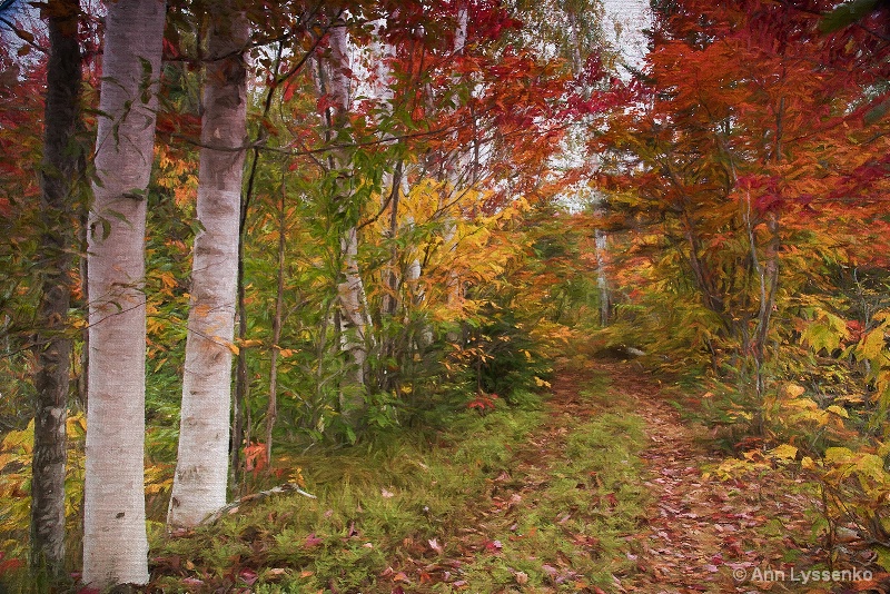 On an Autumn Walk