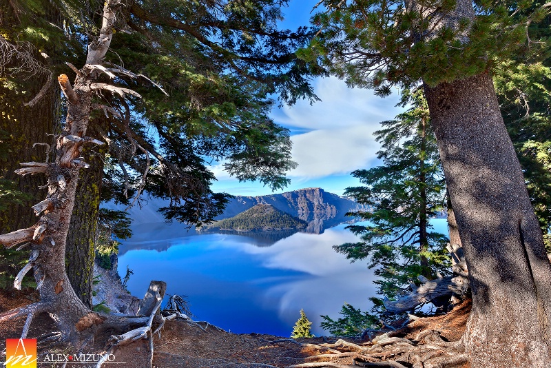 Blue Lake Viewed Through the Evergreen Rim