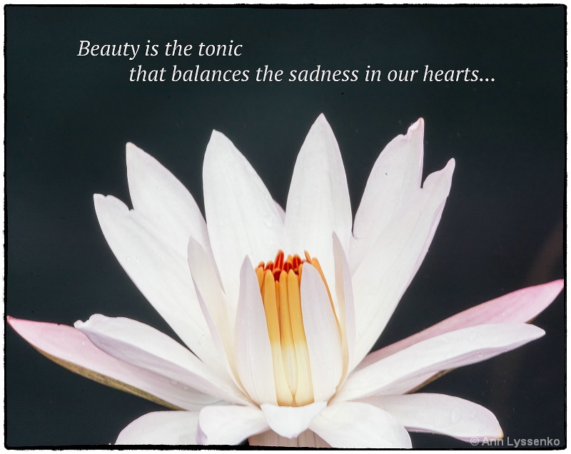 Beauty is...