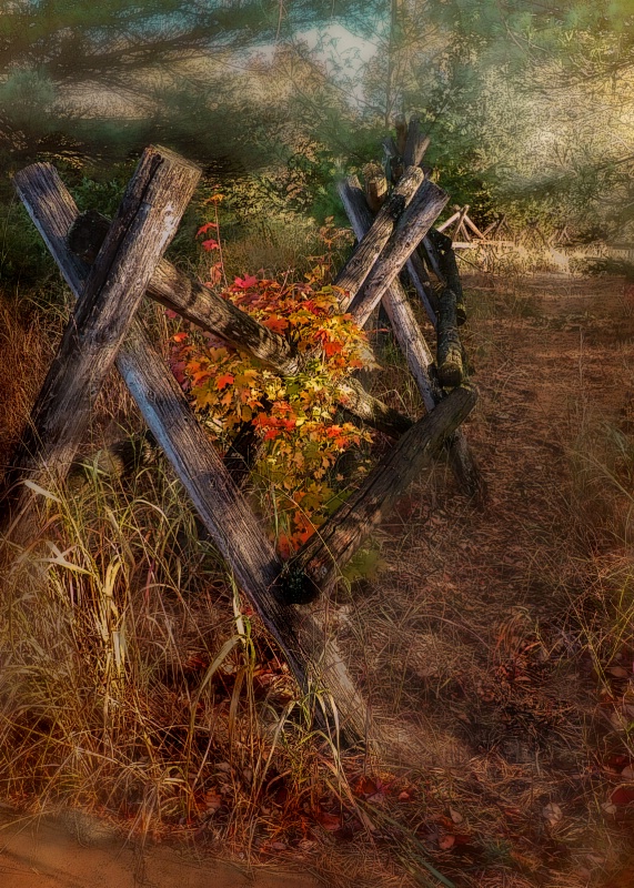 The Fence