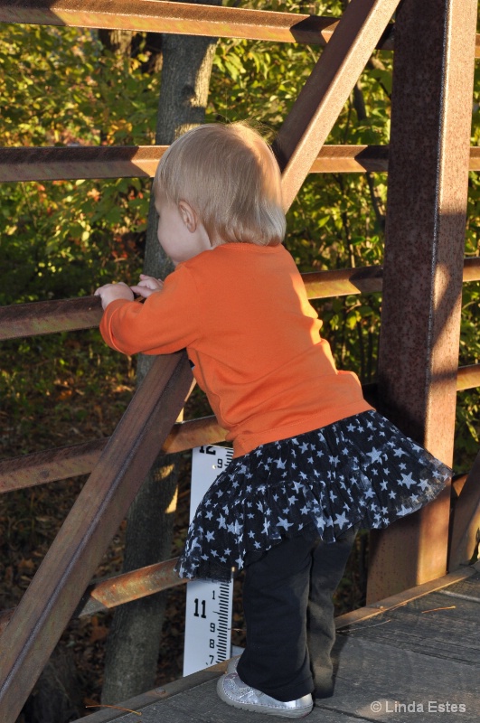 Looking Under the Bridge