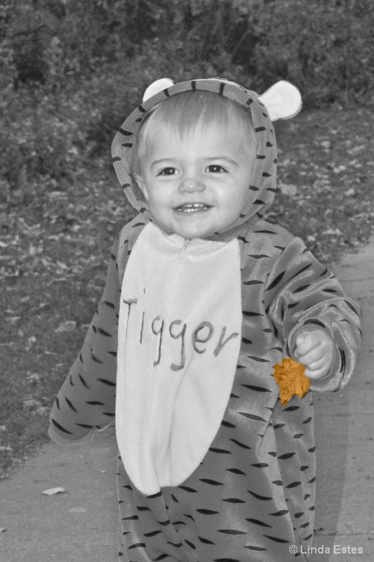 Tigger Finds a Leaf - ID: 15029371 © Linda Estes
