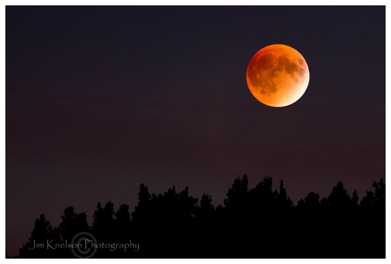Lunar Eclipse Cypress Hills AB September 27 2015 - ID: 15029429 © Jim D. Knelson