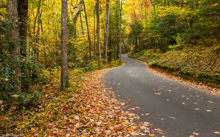 Motor nature trail