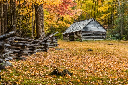 Barn with the Alex Cole home