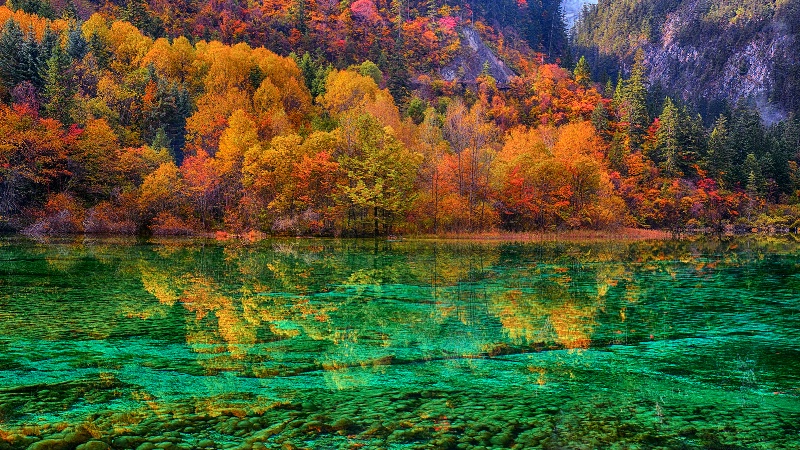 Autumn colors reflections