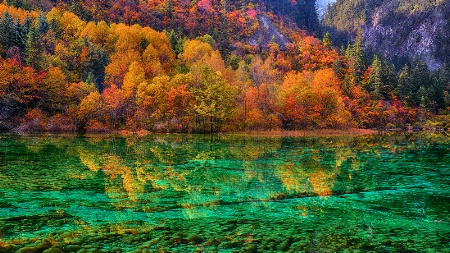 Autumn colors reflections