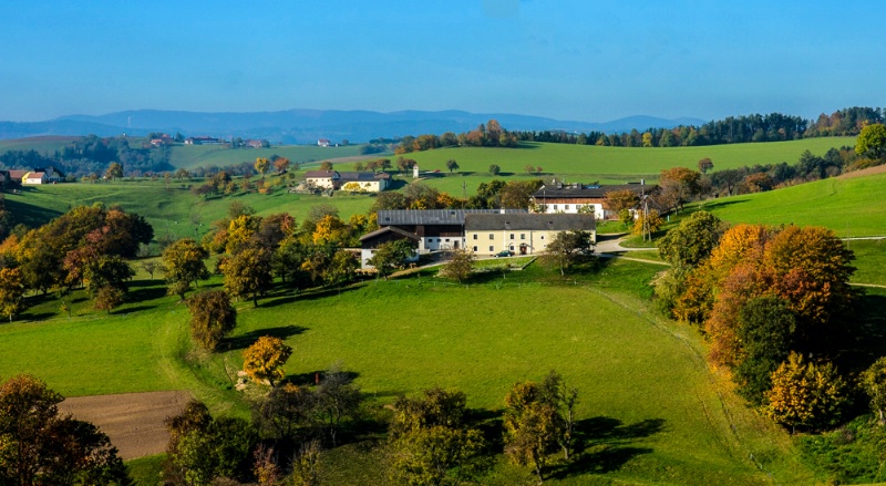 Austrian Landscape