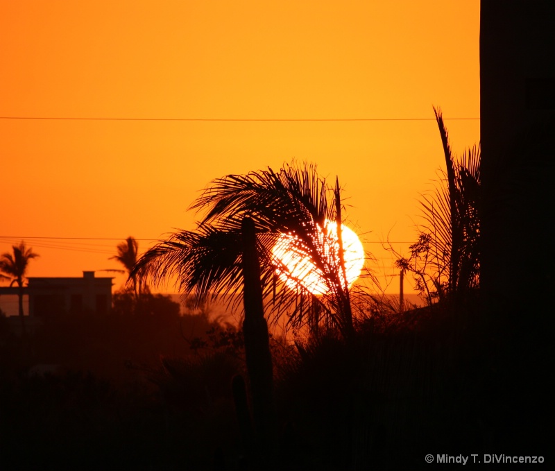 Orange Sunset