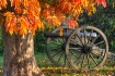 Cannon