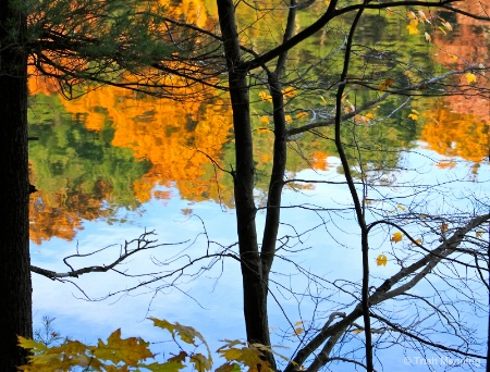 Fall colors reflected - through the trees...