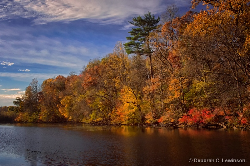 The Splendor of Fall