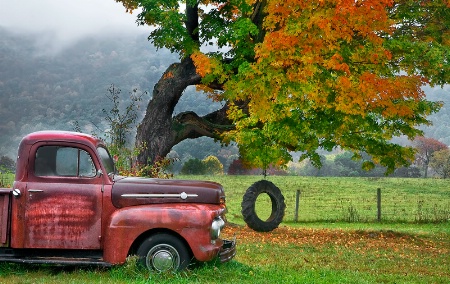 Fall in Virginia