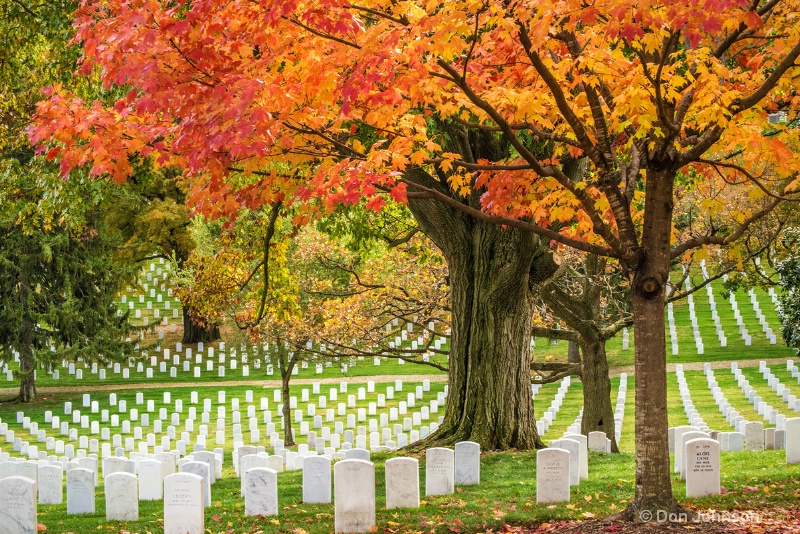 Arlington National Cemetery 3-0 f lr 10-30-15 j117