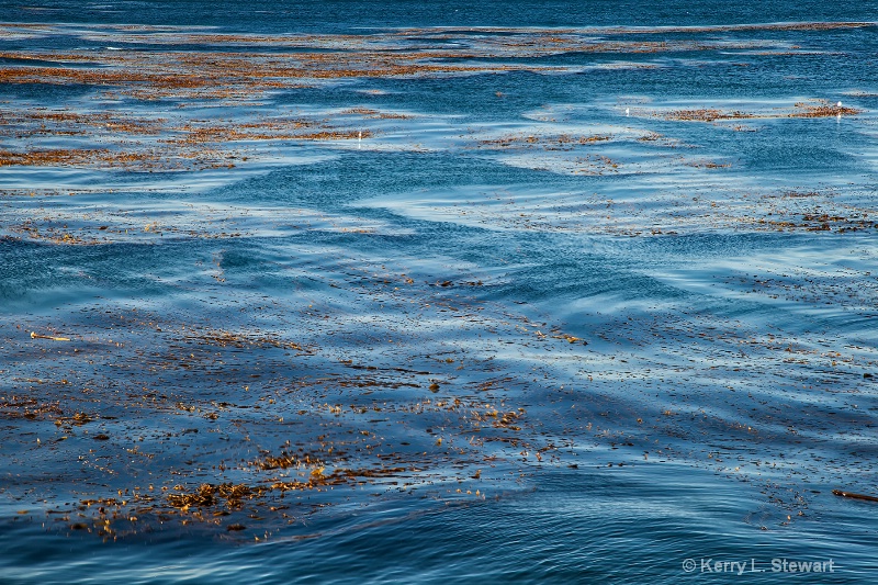 Ripples@ Ripple patterns in the water at Point Lob