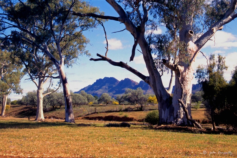 Wilpena Pound and the Flinder's Ranges.